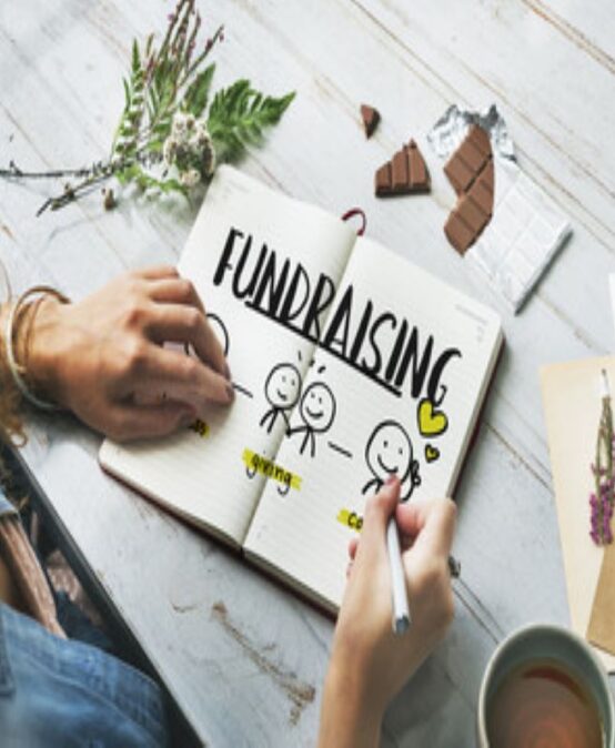 Corporate Fundraising (Online)